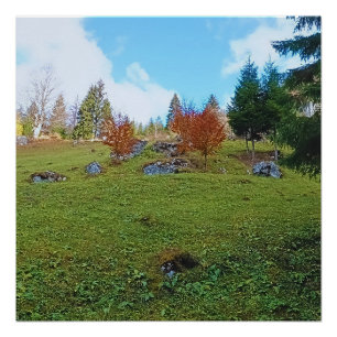 Póster El Prado de Montaña - Naturaleza Salvaje Rumania