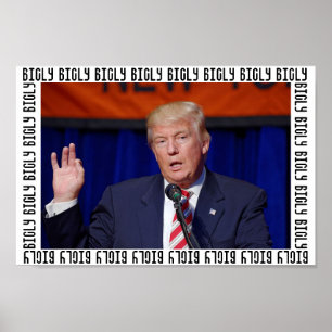 Póster El presidente Donald Trump "feo" Poster de tramas