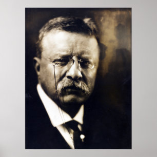 Póster El presidente político de la época Theodore Roosev
