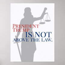 El presidente Trump no está por encima de la ley, 