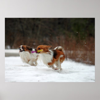 Póster El primer día del invierno de 2012