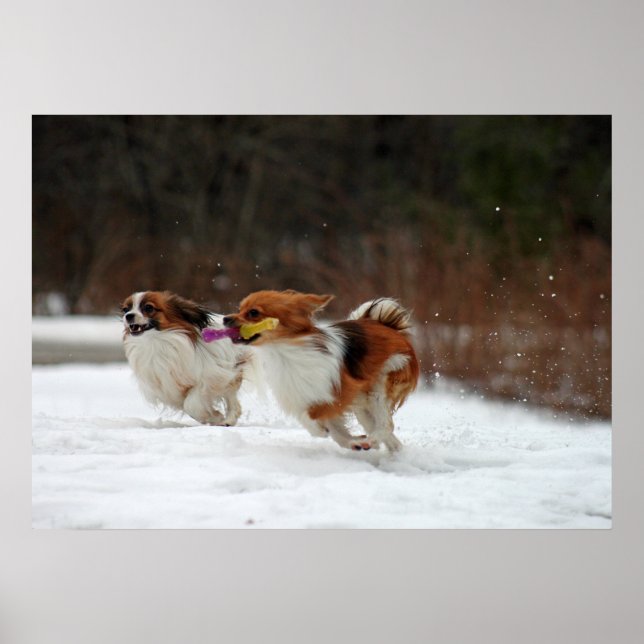 Póster El primer día del invierno de 2012 (Frente)