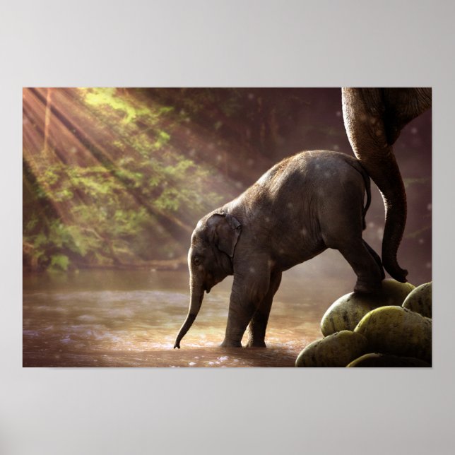 Póster El primer Poster de baño de un elefante bebé (Frente)