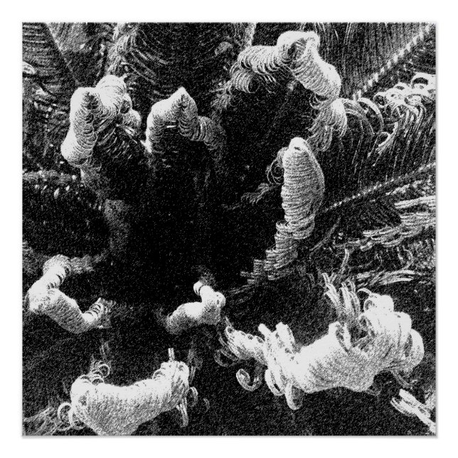 Póster El principio (Anverso)