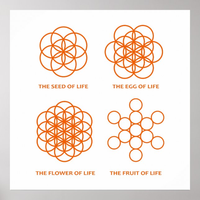 Póster El proceso de creación (Frente)