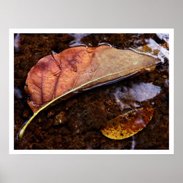 Póster el prospector (Frente)