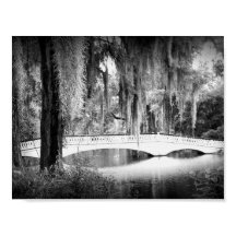 El puente de Magnolia