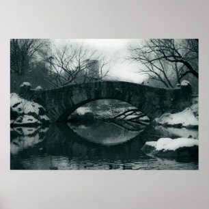 Póster El puente en Central Park