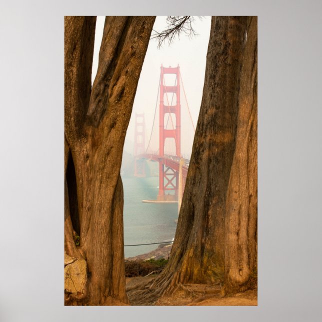 Póster El puente Golden Gate | Árboles desde vista de vis (Frente)