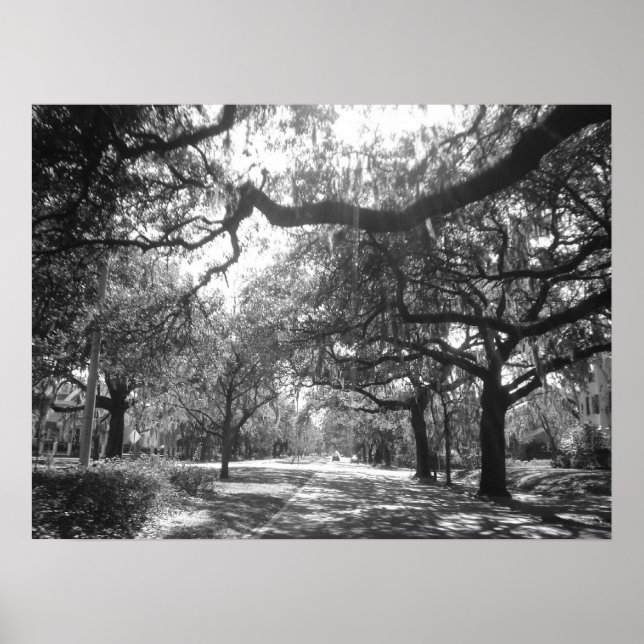 Póster El puerto de la naturaleza (Frente)