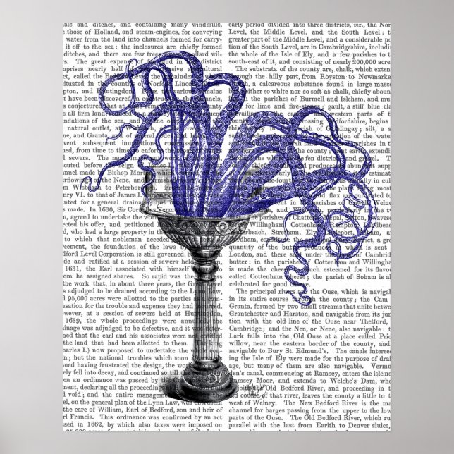 Póster El pulpo en el manto (Frente)