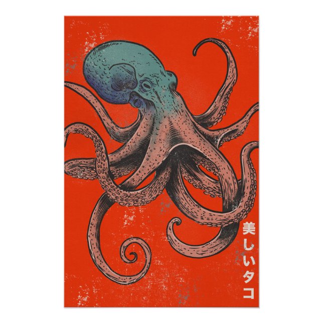 Póster El Pulpo Hermoso (Anverso)