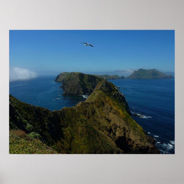Póster El punto de inspiración de Anacapa en las Islas de (Frente)
