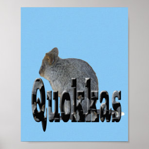 Póster El Quokka Australiano Es El Nombre, Poster