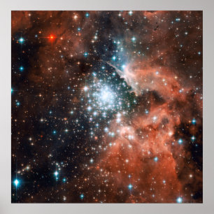 Póster El racimo de las estrellas cobra vida en la nueva