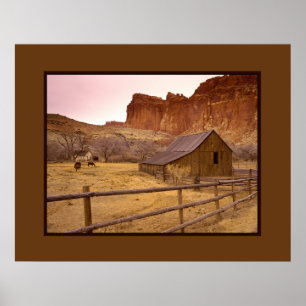 Póster El Rancho