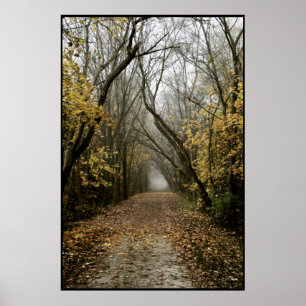 Póster El rastro de la caída lleva en la niebla
