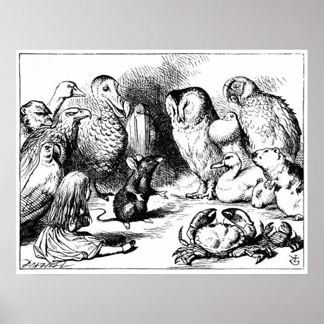 Póster El ratón y la historia seca (Frente)