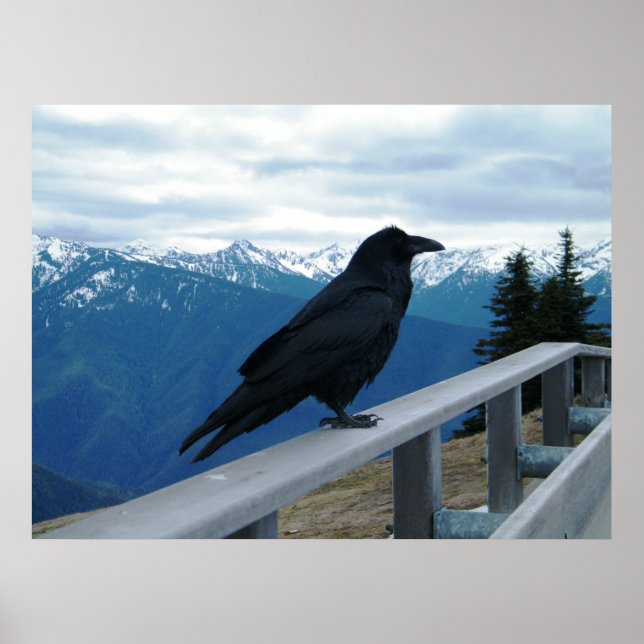 Póster El Raven (Frente)