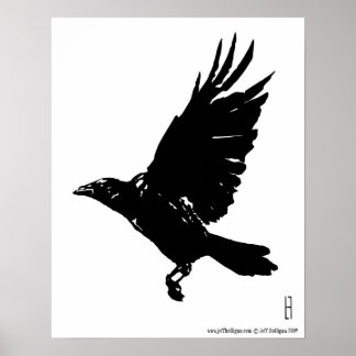 Póster El Raven