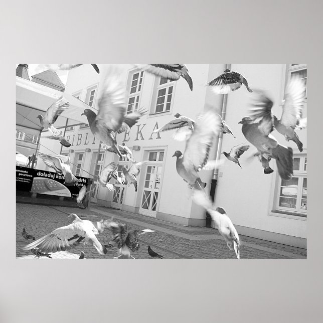 Póster El rebaño (Frente)