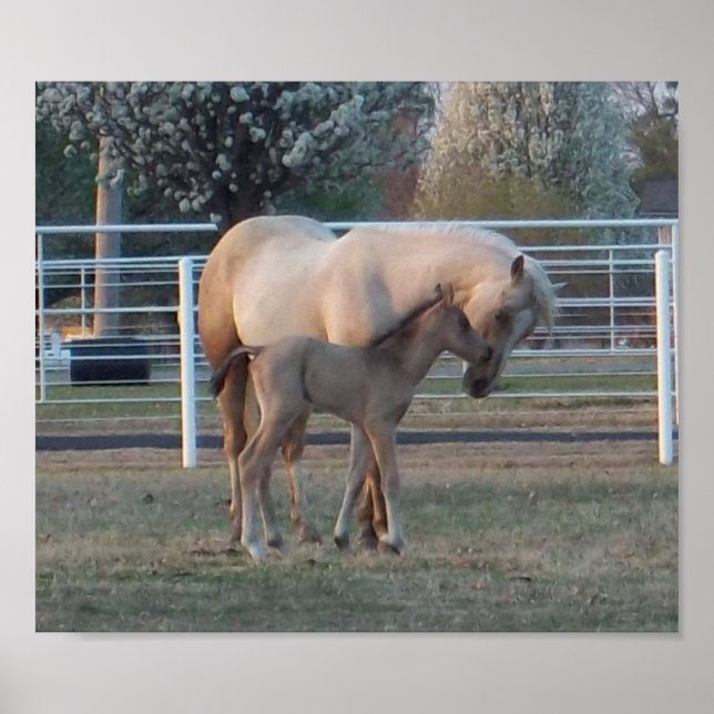 Póster El recién nacido (Frente)