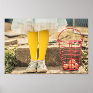 Póster El recolector de huevos