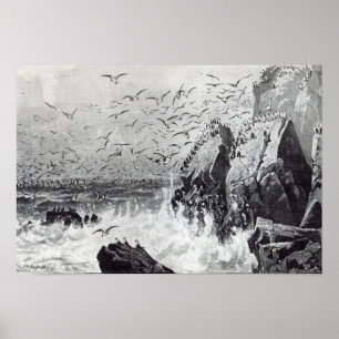 Póster El refugio de las gaviotas