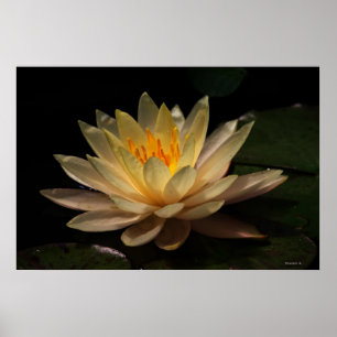 Póster El resplandor