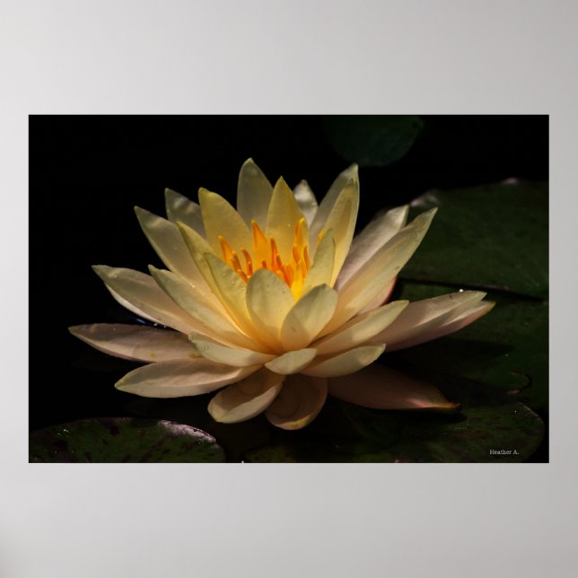 Póster El resplandor (Frente)