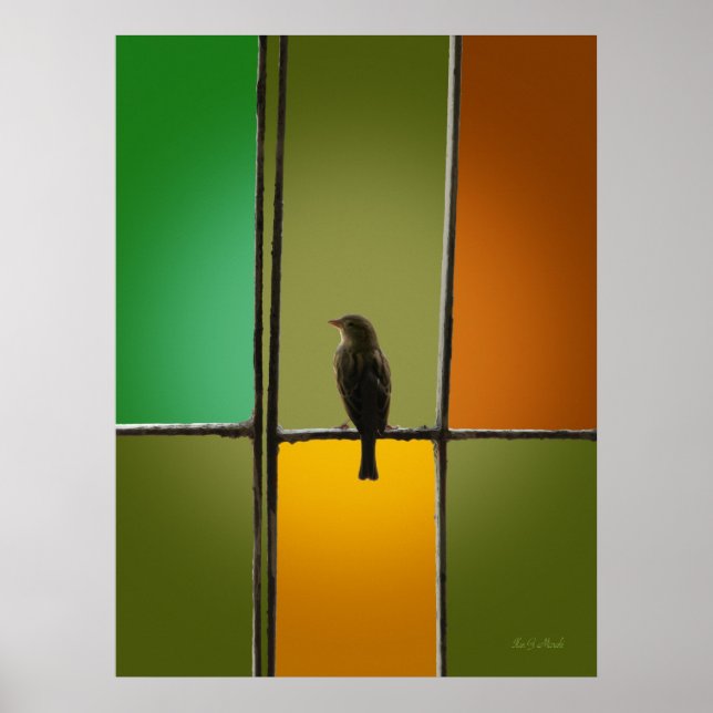 Póster El resplandor (Frente)