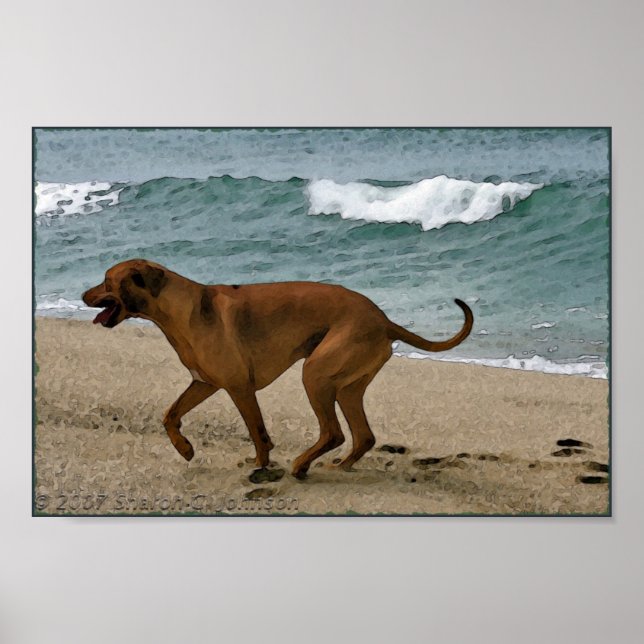 Póster El retorno al mar (Frente)