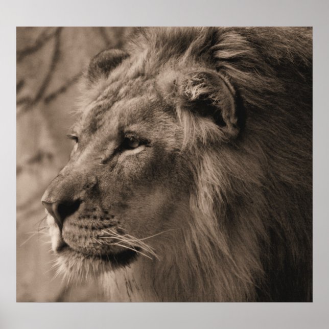 Póster El rey (Frente)