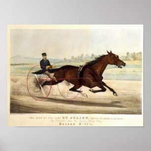 Póster El rey del césped, 'St. Julien