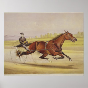 Póster El rey del césped, "St. Julien", conducido por