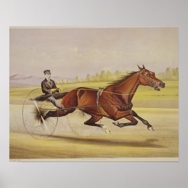 Póster El Rey del Turf, 'St. Julien, conducido por Orri (Frente)
