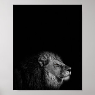 Póster El Rey, el León, la fotografía en blanco y negro