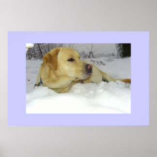 Póster El Rey en la nieve - escena invernal de Labrador