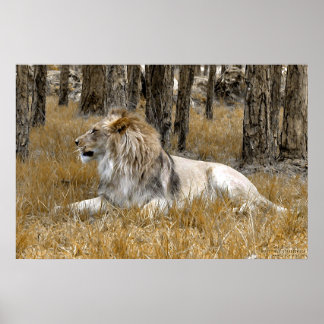 Póster El Rey León
