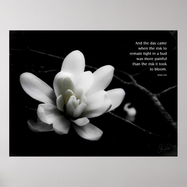 Póster El riesgo de florecer (Frente)