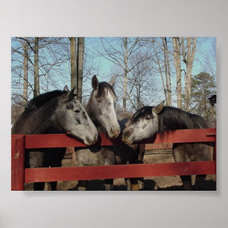 Póster El Rincón Gossip