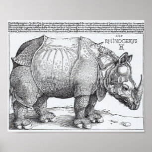 Póster El rinoceronte de Dürer