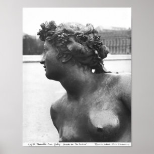 Póster El río Saone, desde el río Parterre