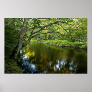 Póster El río Taunton en Bridgewater,