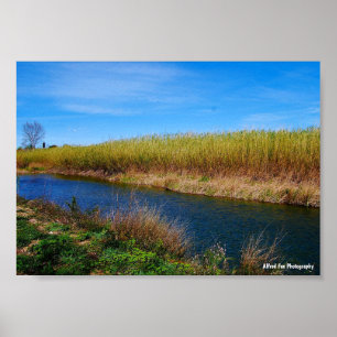 Póster El río Túria
