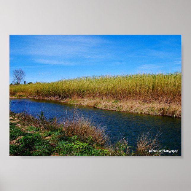 Póster El río Túria (Frente)