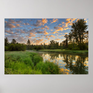 Póster El río Whitefish con hermosas nubes al amanecer