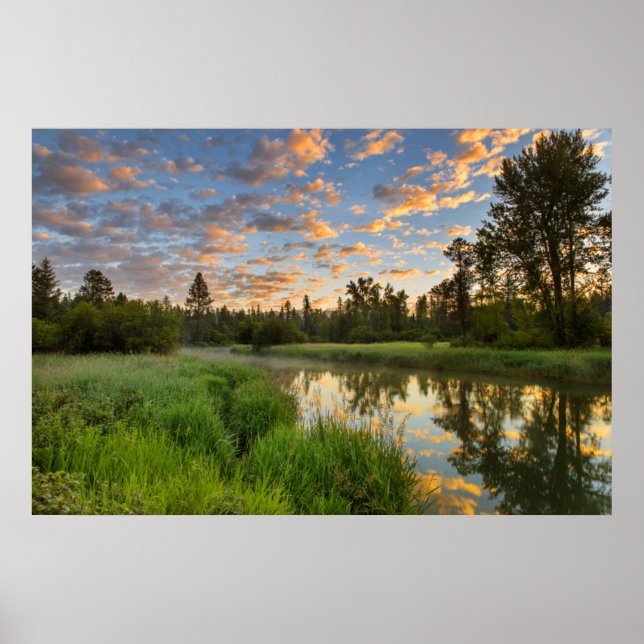 Póster El río Whitefish con hermosas nubes al amanecer (Frente)