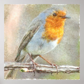 Póster El Robin Es Una Acuarela Gabriel