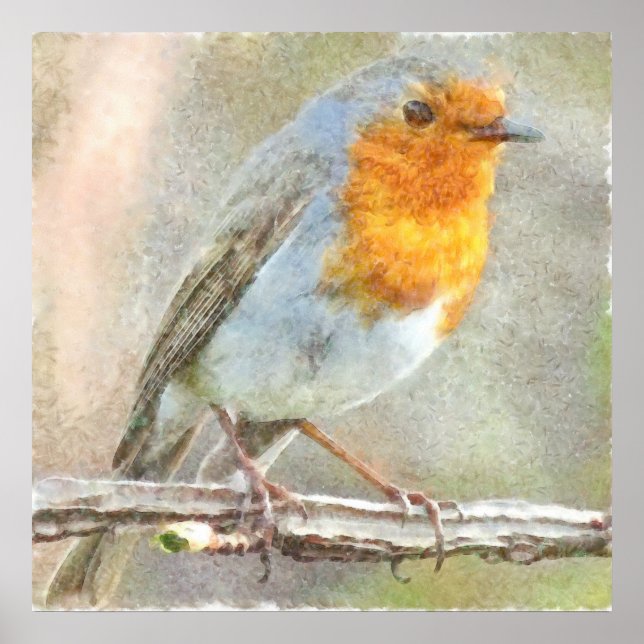 Póster El Robin Es Una Acuarela Gabriel (Frente)
